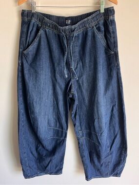 GAP Women’s Fast Horseshoe Jean Pants in Dark Indigo Barrel Style Size Large (L)